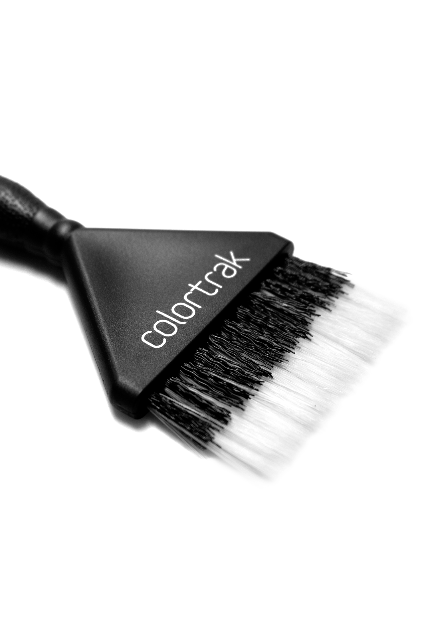 Dual Bristle Brush